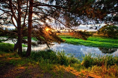 Summer panorama with river and pine-tree on sunsetの写真素材