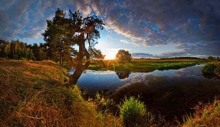 Summer panorama with river and pine-tree on sunsetの写真素材