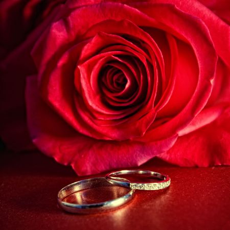 Wedding rings and red rose の写真素材