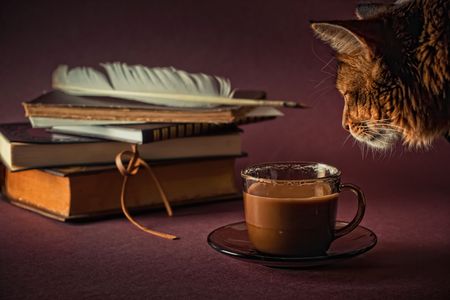 Still life with books and cup of coffeeの写真素材