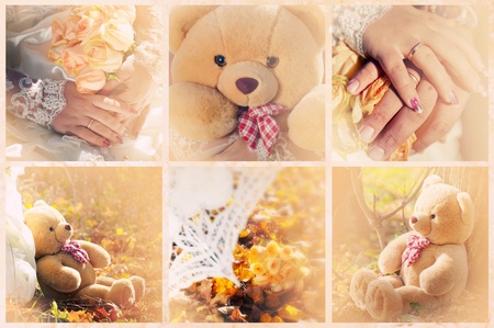 A collection of wedding photos in cream colorsの写真素材