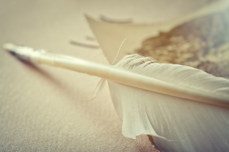 Antique photo album with feather penの写真素材