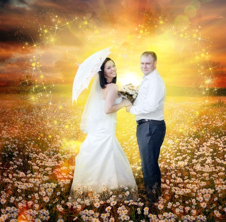 Newlyweds going on daisy field in magic lightの写真素材