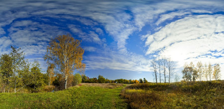Panoramic landscape of sunny autumn field with forest riverの写真素材
