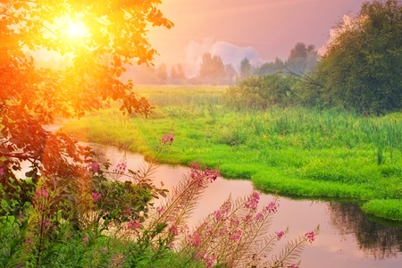 Landscape with small forest river on sunsetの写真素材