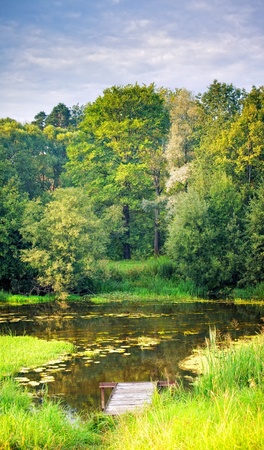 Landscape with small forest river at sunny summer eveningの写真素材