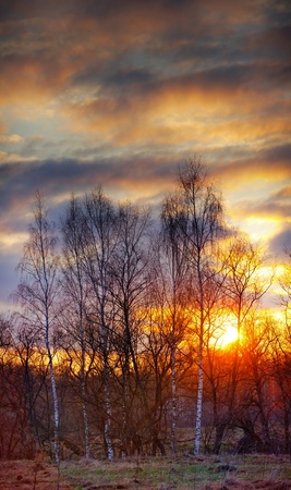 Spring  landscape at sunsetの写真素材