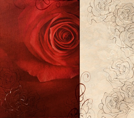 Red rose cardの写真素材