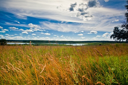 Summer panoramic landscape with riverの写真素材