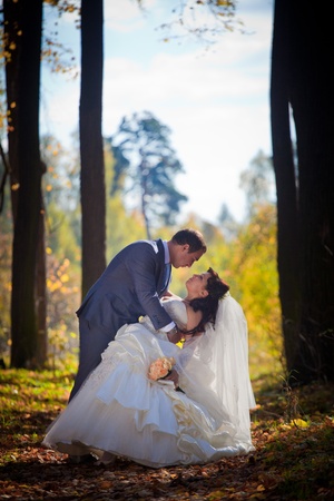 Newlyweds posing in autumn parkの写真素材