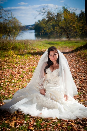 Beautiful bride posing in autumn fieldの写真素材