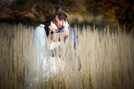 Kissing newlyweds in autumn fieldの写真素材