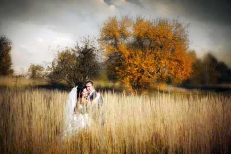 Kissing newlyweds in autumn fieldの写真素材