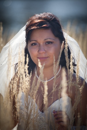 Beautiful bride posing in autumn fieldの写真素材