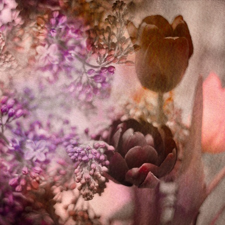 Tulips in watercolor styleの写真素材