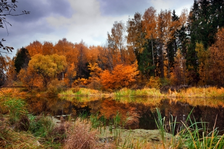 Landscape with forest lake in autumnの写真素材