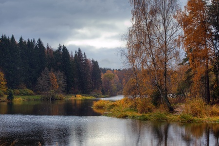 Landscape with forest  lake in autumn rainy dayの写真素材
