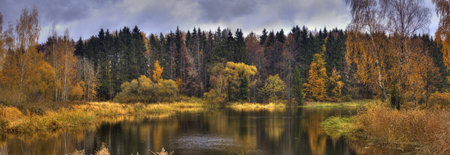 Landscape with forest lake in autumn rainy day