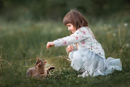 Cute girl playing with cat on grassの写真素材