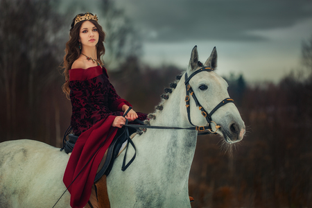 Medieval Queen on white horse at twilight winter forestの写真素材