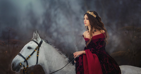 Medieval Queen on white horse at twilight winter forestの写真素材