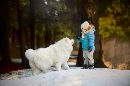 Boy walking with white Samoyed dog at winter forestの写真素材