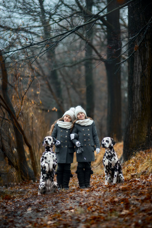 Twins girls walking with their Dalmatian dogs in rainy autumn parkの写真素材
