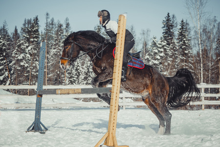 Winter teenage girl jump horse ride jumpingの写真素材