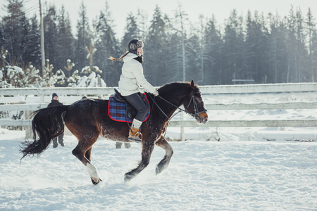 Winter teenage girl jump horse ride jumpingの写真素材