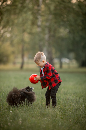A little boy with a football with his dog in the parkの写真素材