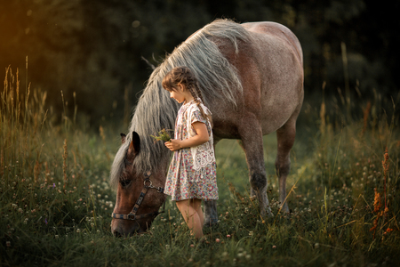 Little girl with horse at summer evening dayの写真素材