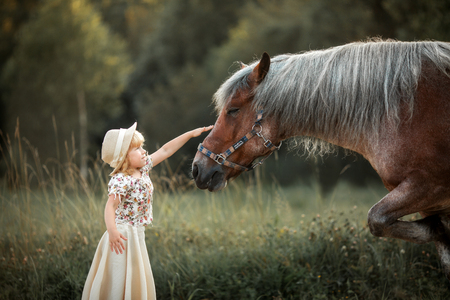 Little girl with horse at summer evening dayの写真素材
