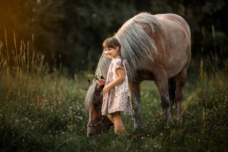 Little girl with horse at summer evening dayの写真素材