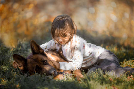 Little girl with german shepherd dog portrait in an autumn parkの写真素材