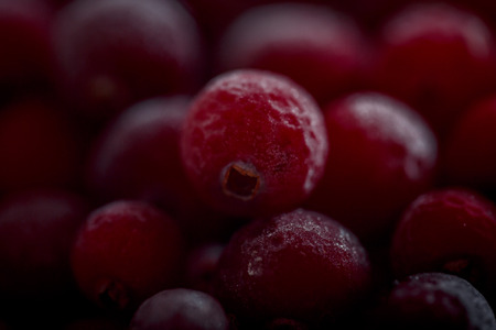 Frozen cranberries in sugar powder close upの写真素材