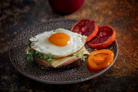 Grain bread with fried egg, tomato, cheese and bacon on ceramic plate with red orange to desertの写真素材