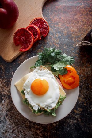Grain bread with fried egg, tomato, cheese and bacon on ceramic plate with red orange to desertの写真素材