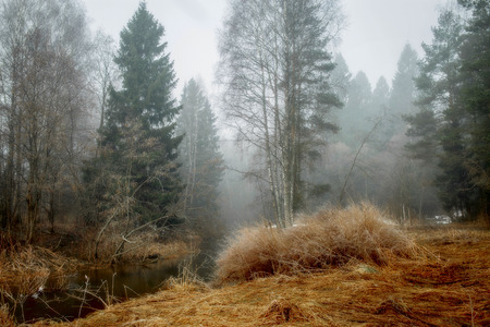 Misty landscape with forest and river at early morningの写真素材