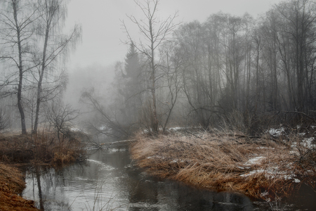 Misty landscape with forest and river at early morningの写真素材