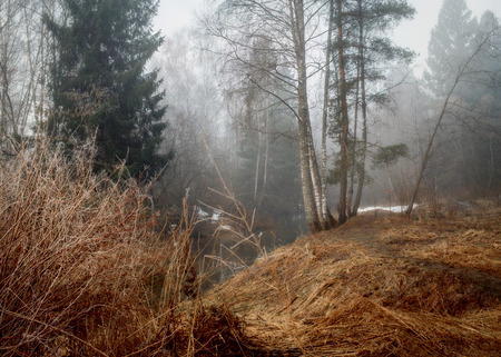 Misty landscape with forest and river at early morningの写真素材