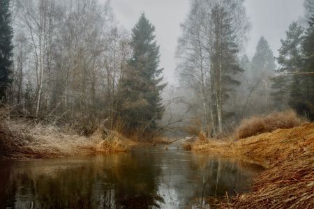 Misty landscape with forest and river at early morningの写真素材