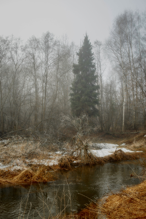 Misty landscape with forest and river at early morningの写真素材