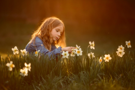 Little girl outdoor portrait near narcissus  flowers at sunsetの写真素材