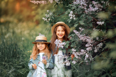 Little sisters outdoor portrait near lilac tree at spring eveningの写真素材