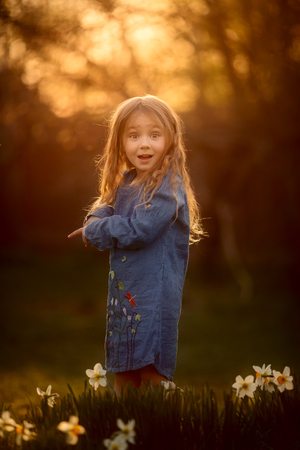 Little girl outdoor portrait near narcissus  flowers at sunsetの写真素材