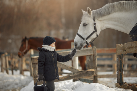 Teenage girl standing near white horse in a paddock at winter dayの写真素材