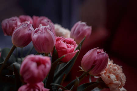 Bouquet of beautiful flowers with purple peony roses, carnations and tulips, in the craft paperの写真素材