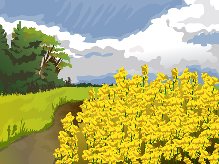 Field with yellow flowers in blue sky, white clouds trees and green grassのイラスト素材