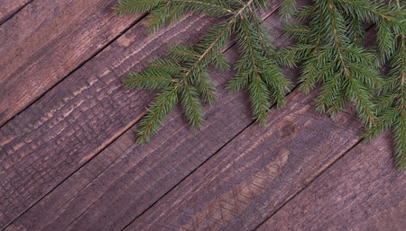 Christmas fir tree with gift boxe on wooden board.の写真素材