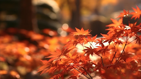 Uncommon maple clears out in collect time sunny day in frontal zone and foggy establishment. Creative resource, AI Generatedの素材